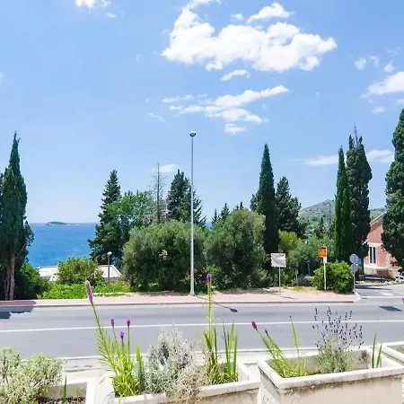 Διαμέρισμα Silvana Mlini