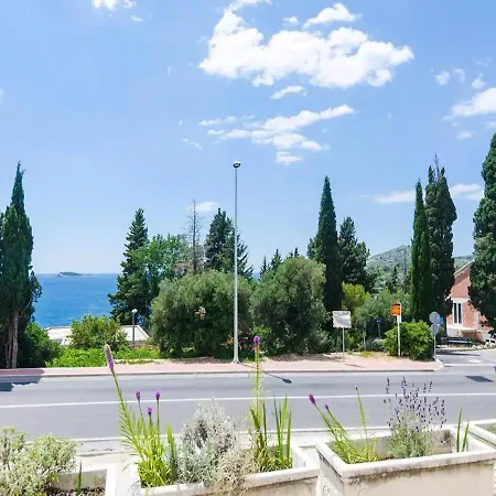 Apartman Silvana Mlini